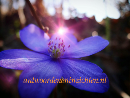 Tien inspirerende voorbeelden van passie die je moet ontdekken